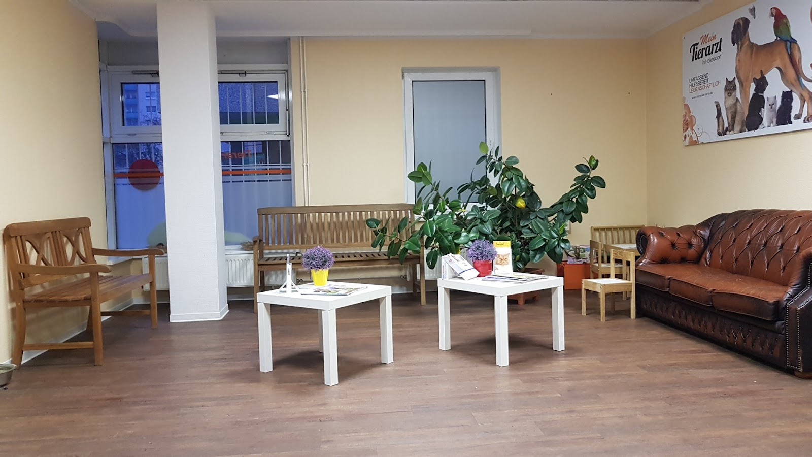 Karsten Radermacher Tierarzt in Berlin – Praxisansicht