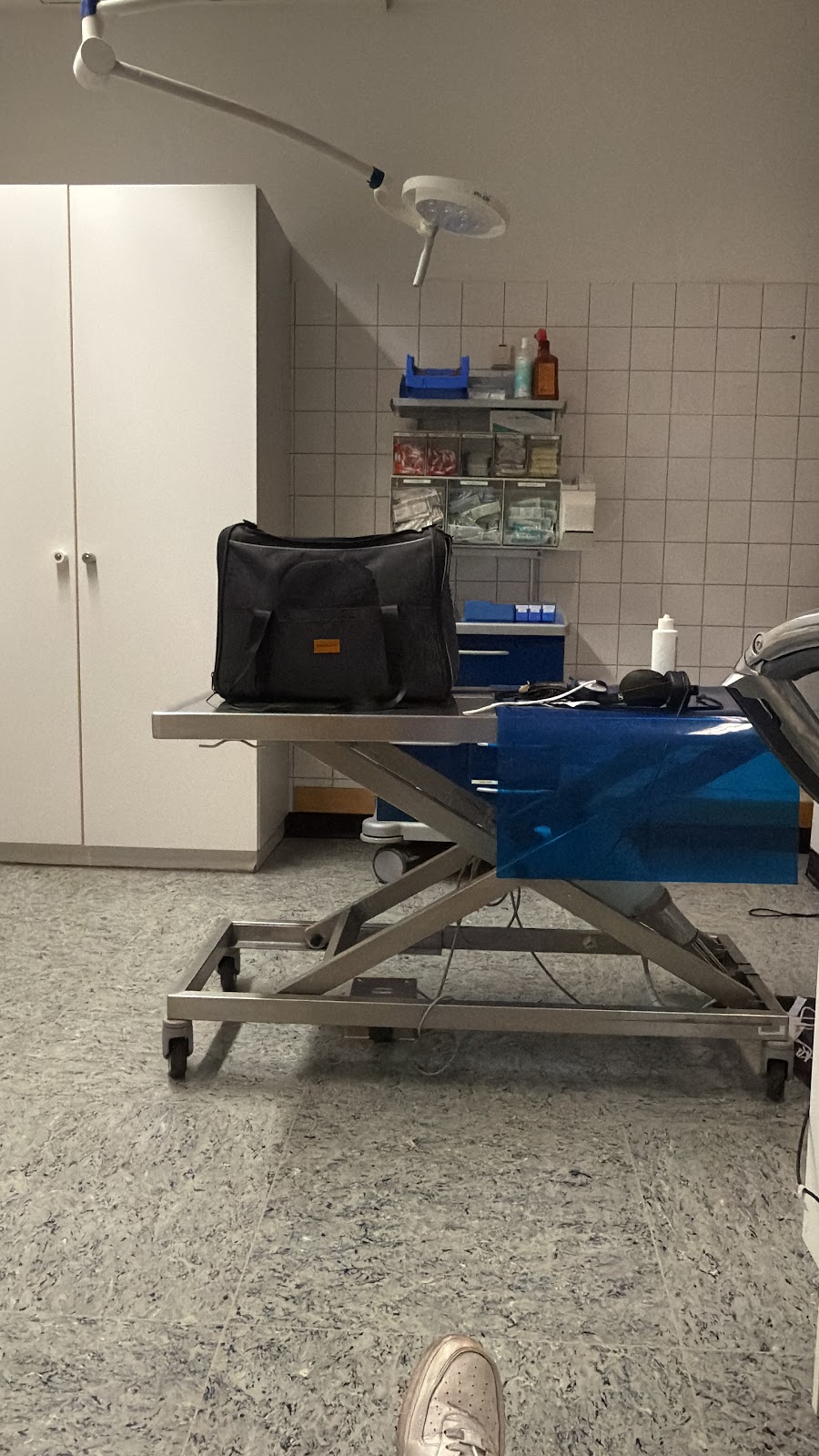 Klein- und Heimtierklinik der FU Berlin in Berlin – Foto aus einer Patientenbewertung