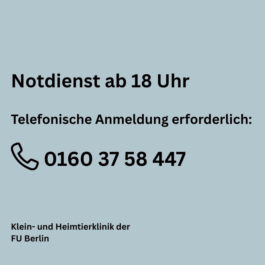 Klein- und Heimtierklinik der FU Berlin in Berlin – Praxisfoto 3