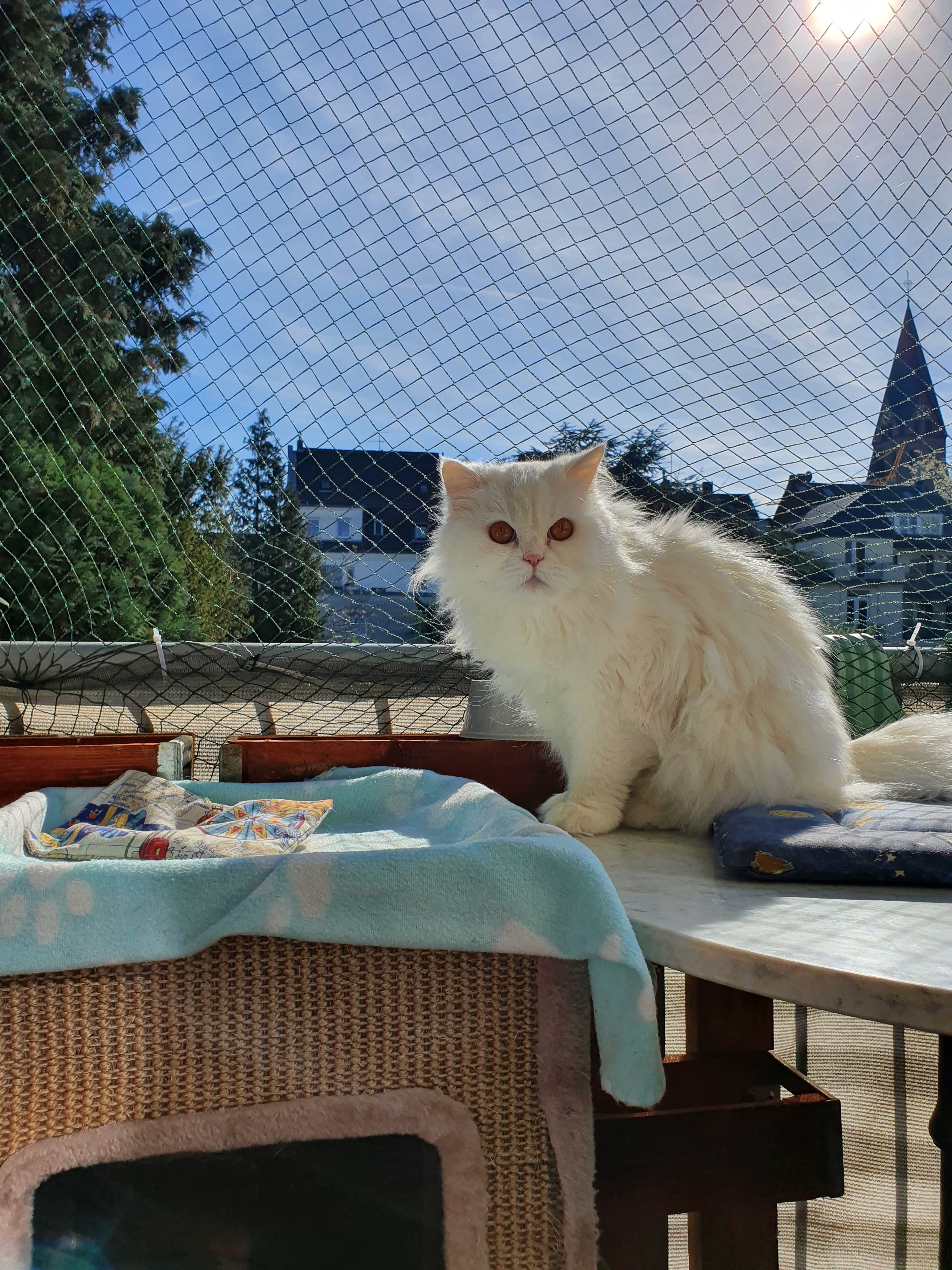 KLEINTIERINTERNISTEN KÖLN