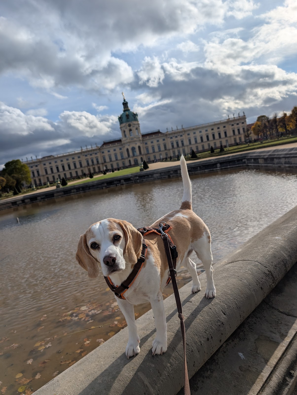 Kleintierkardiologie Tempelhof in Berlin – Praxisfoto 1