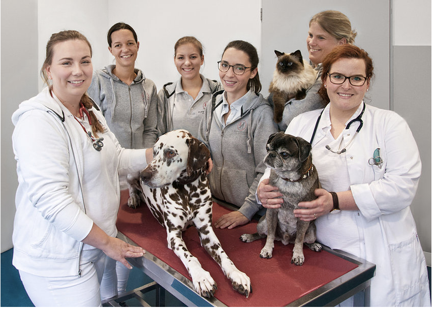 Kleintiermedizin am Lützowufer in Berlin – Praxisansicht