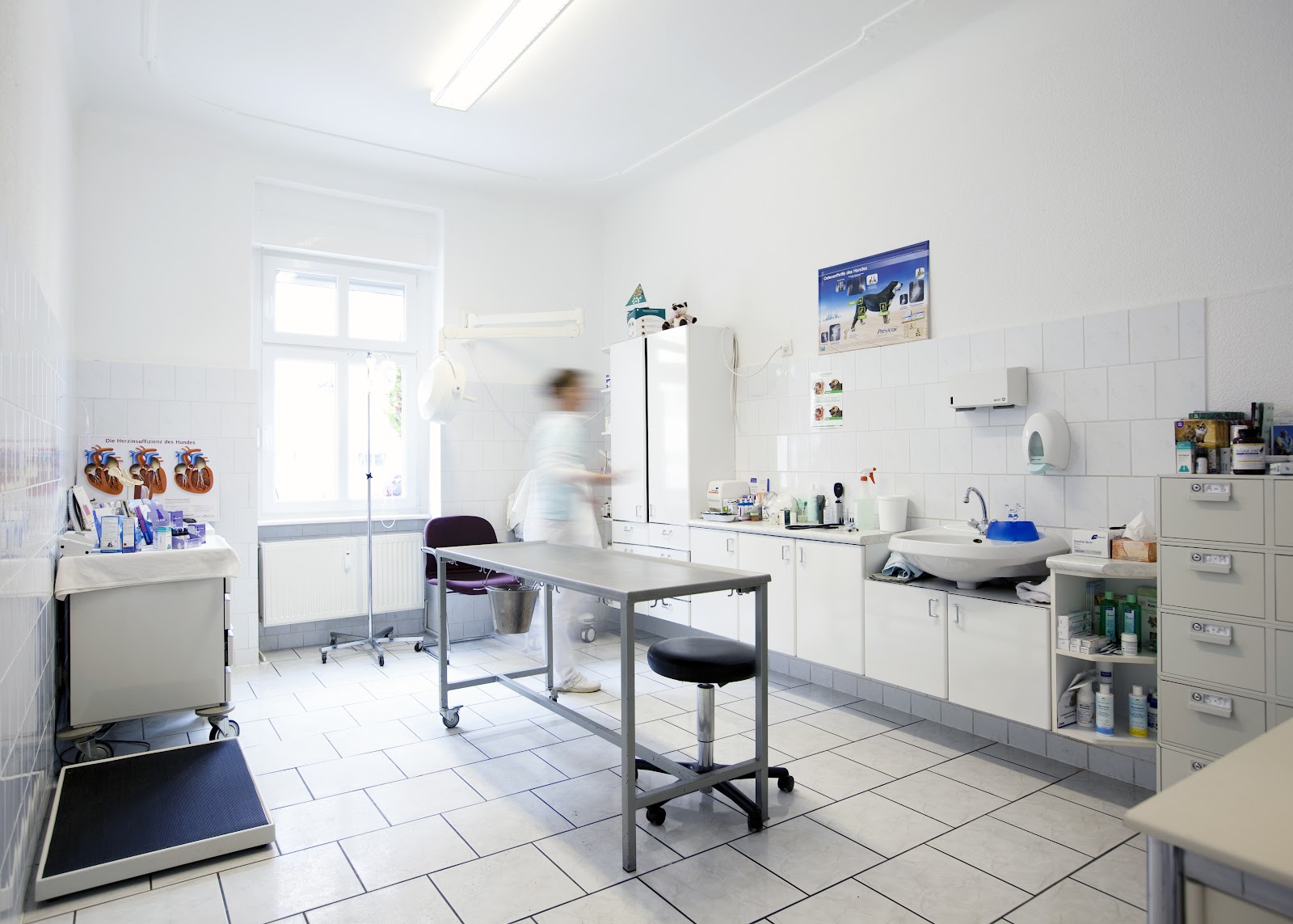 Kleintierpraxis 4 Pfoten & Co. in Berlin – Praxisfoto 1
