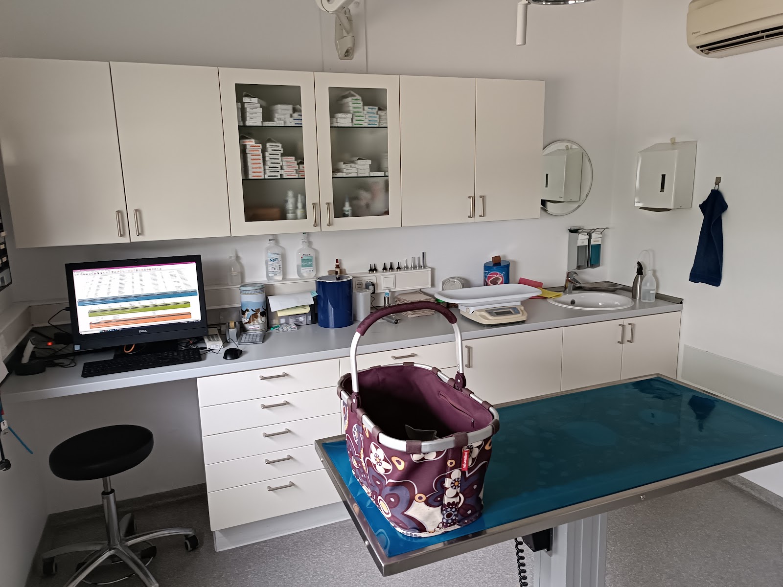 Kleintierpraxis am Aischbach, Dr.med.vet. Simon