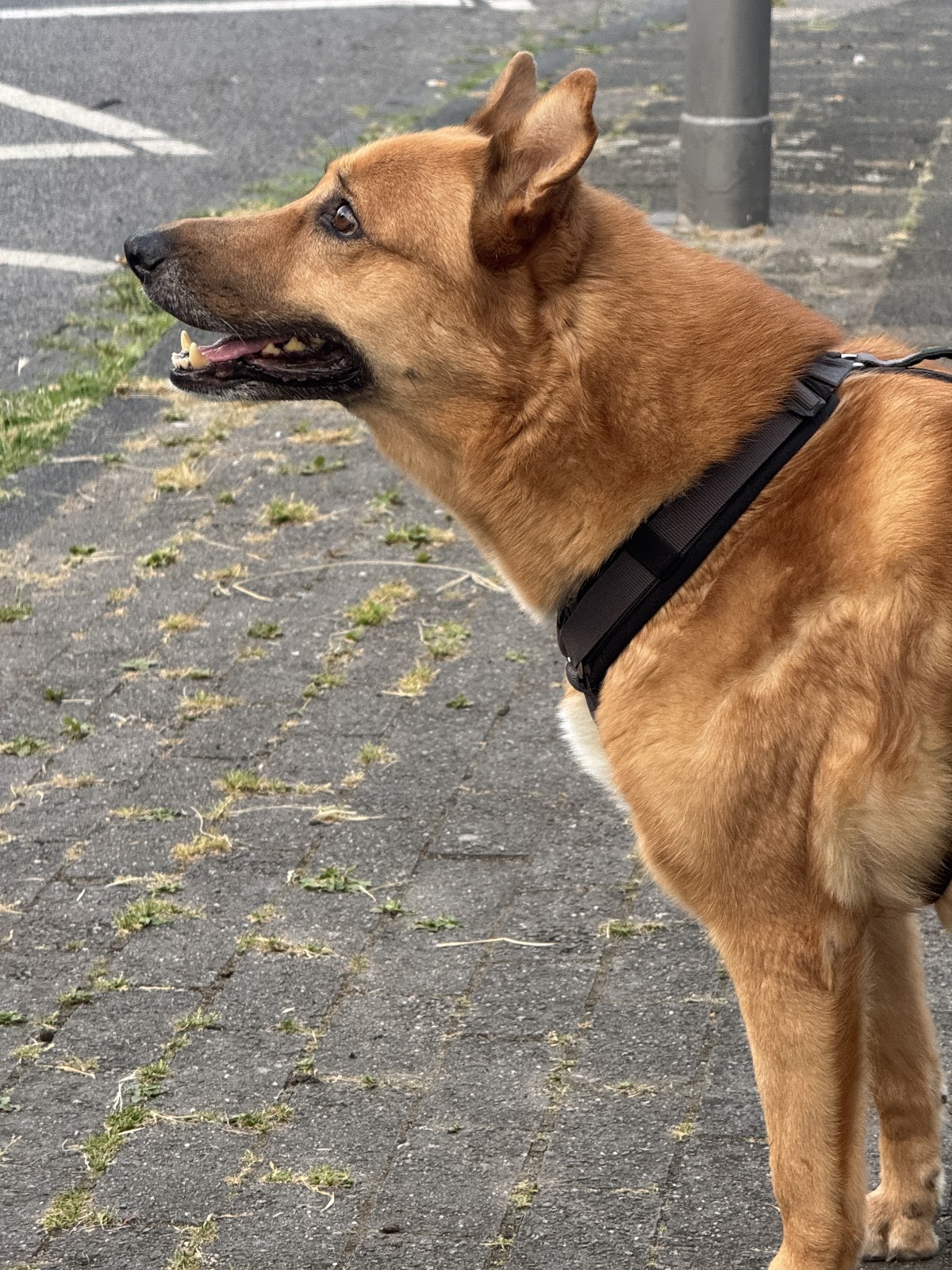 Kleintierpraxis am Finkenacker in Duisburg Süd – Praxisfoto 1