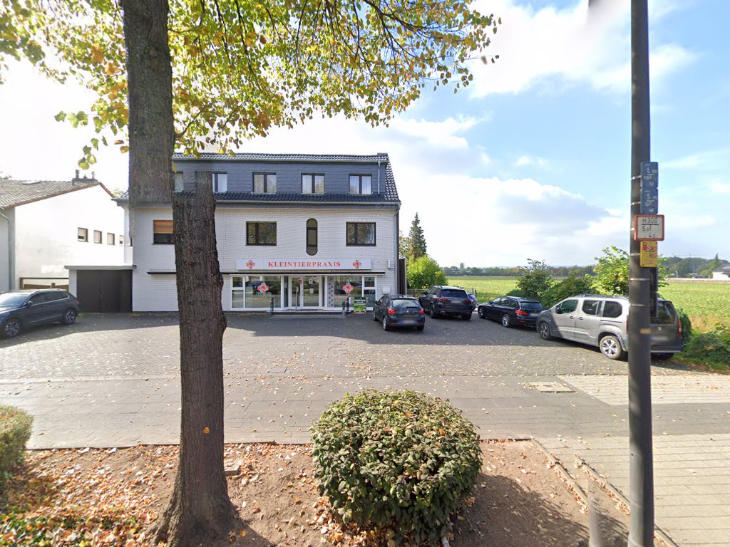 Kleintierpraxis Amin GmbH in Bonn – Praxisfoto 1