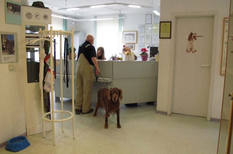 Kleintierpraxis Bad Rodach - Tierarzt Dr. med. vet. Peter Schunk