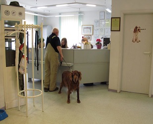 Kleintierpraxis Bad Rodach - Tierarzt Dr. med. vet. Peter Schunk – Bild
