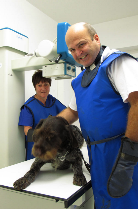 Kleintierpraxis Bad Rodach - Tierarzt Dr. med. vet. Peter Schunk – Bild