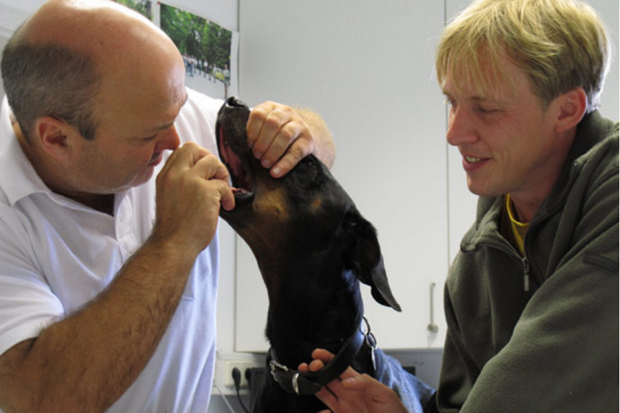 Kleintierpraxis Bad Rodach - Tierarzt Dr. med. vet. Peter Schunk – Bild