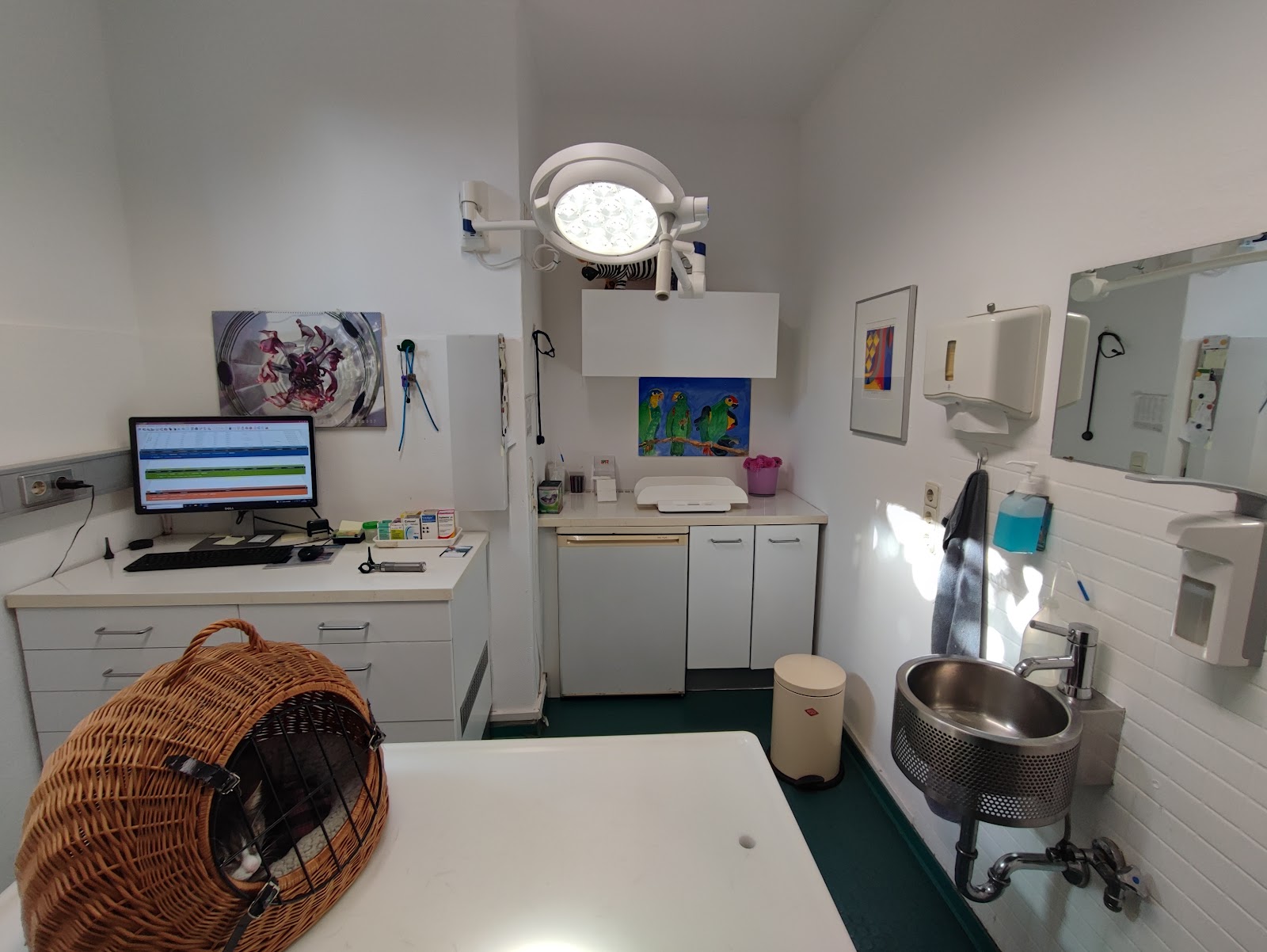 Kleintierpraxis Dr. Ernst in Nord – Praxisansicht