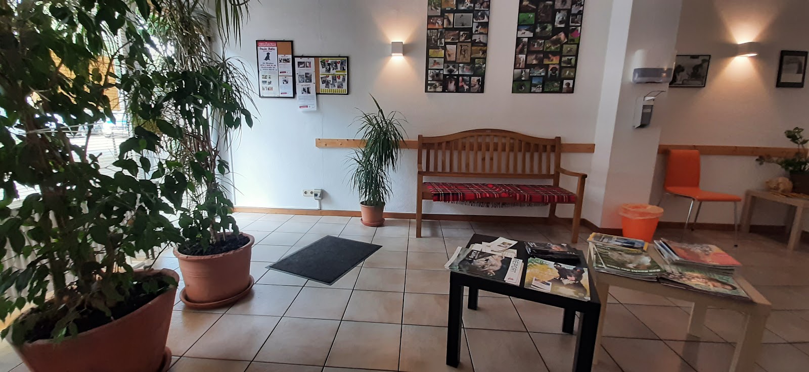 Kleintierpraxis Dr. med. vet. Jutta Nölke in Hürth – Praxisansicht