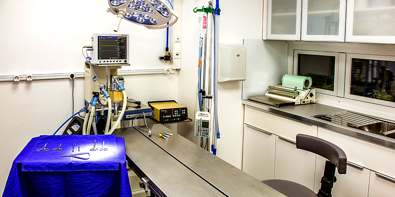 Kleintierpraxis Dr. med.vet. Evelyn Philipp – Bild