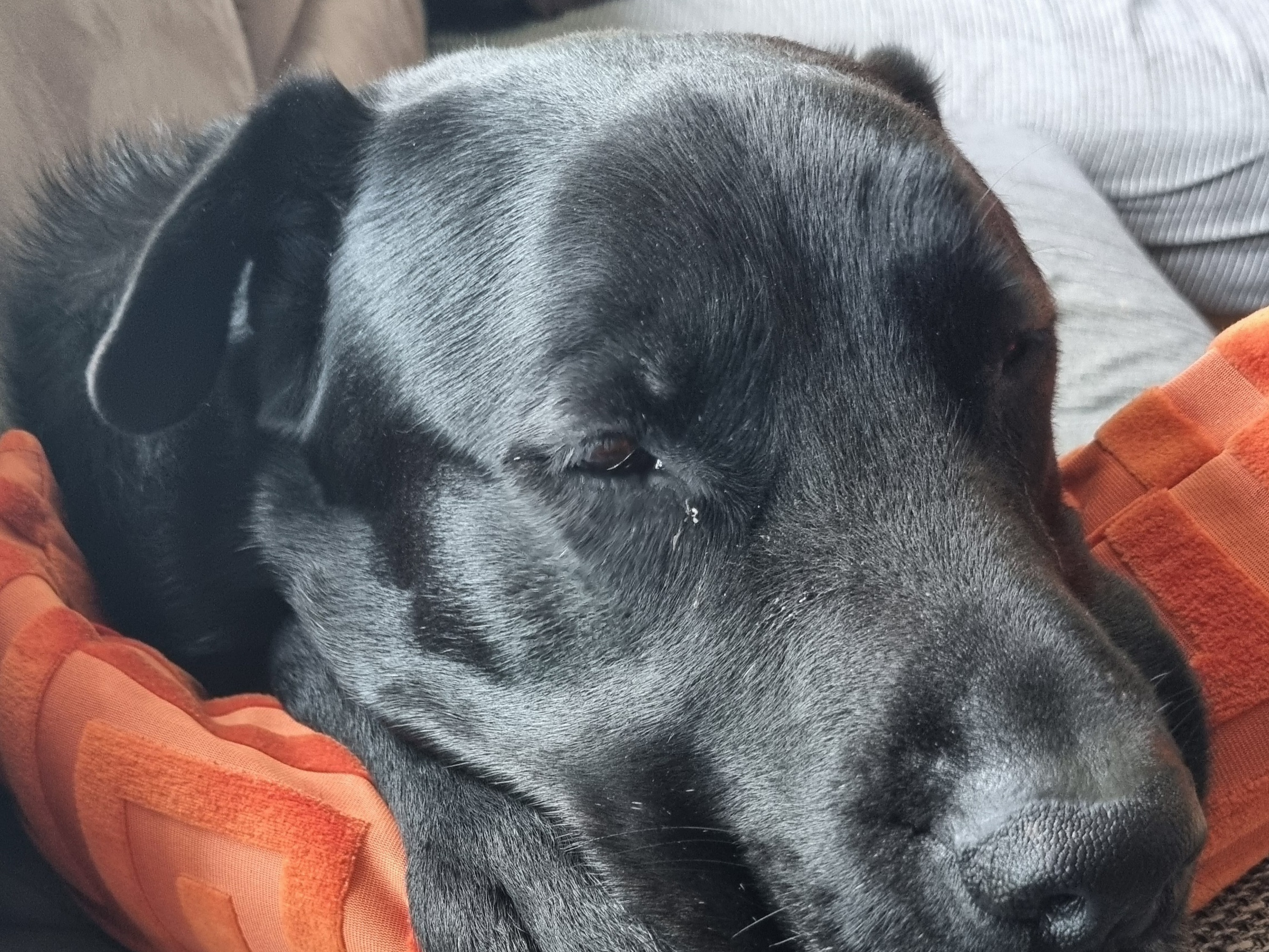 Kleintierpraxis Dr. med.vet. Juliana Bartl – Bild