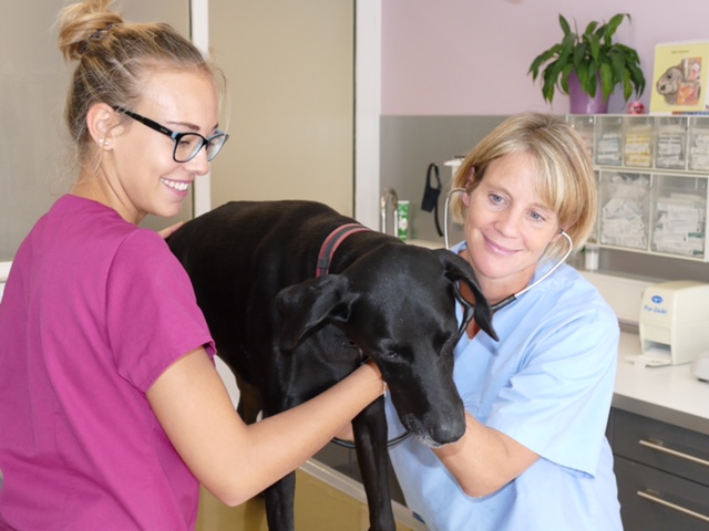 Kleintierpraxis Dr. Sylvia Belgard & Dr. Karin Dorweiler | München