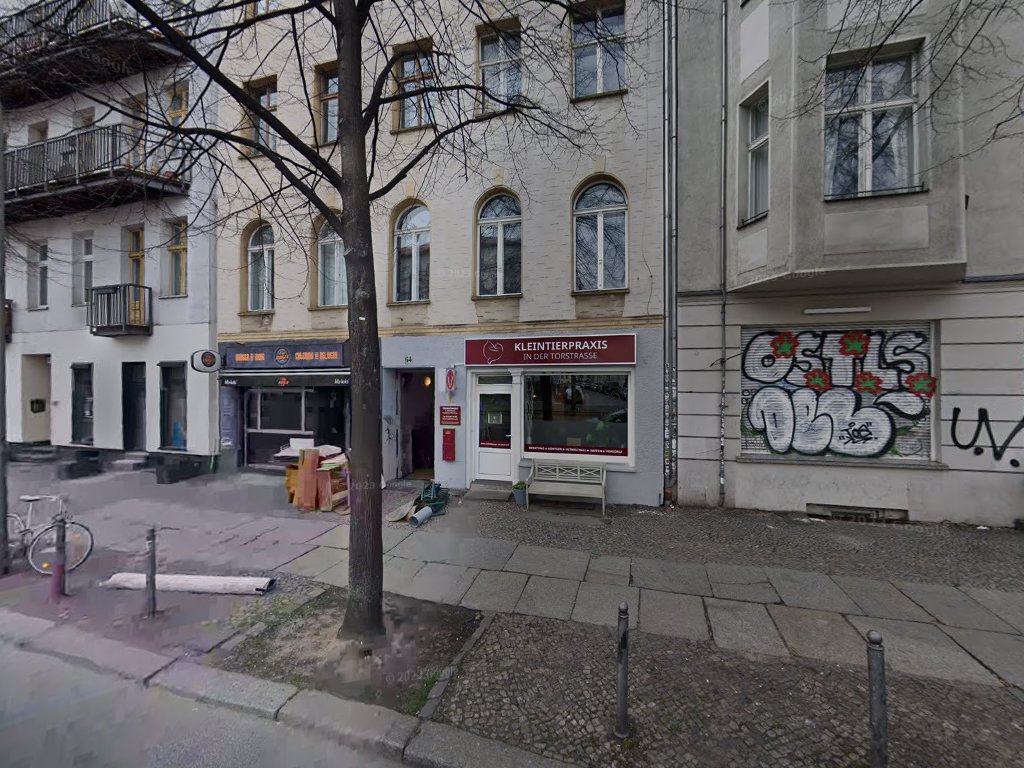 Kleintierpraxis in der Torstrasse in Berlin – Praxisfoto 4