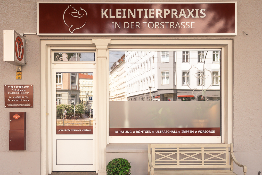 Kleintierpraxis in der Torstrasse in Berlin – Praxisansicht