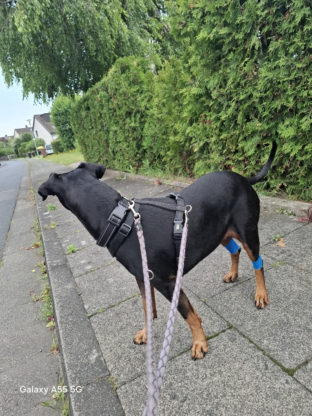 Kleintierpraxis Kohn in Hennef (Sieg) – Praxisfoto 1