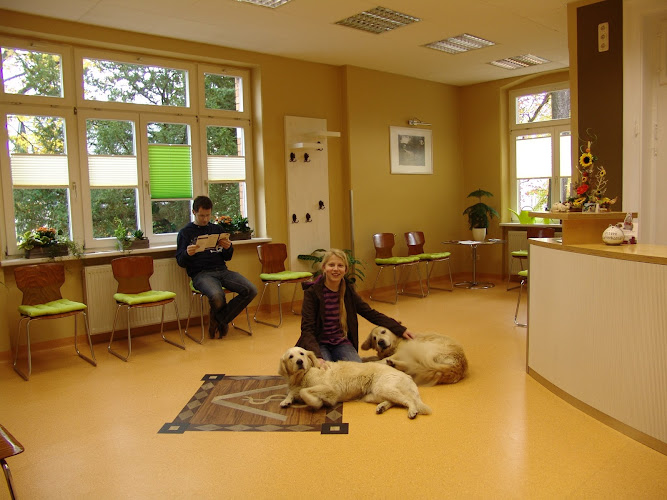 Kleintierpraxis & Tierpension Dr. med. vet. Anke Horn