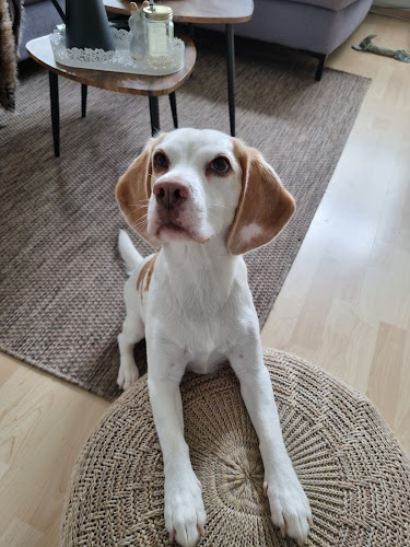 Kleintierspezialisten Am Waller See - Braunschweig