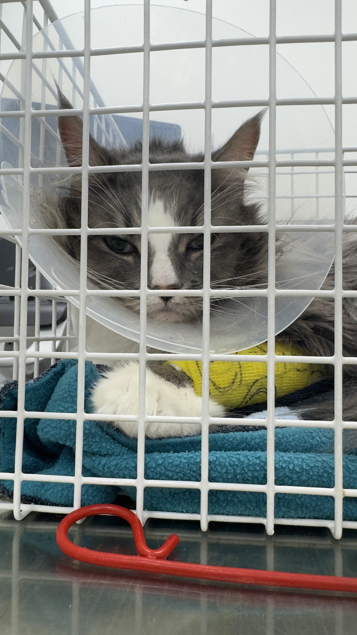 Kleintierspezialisten