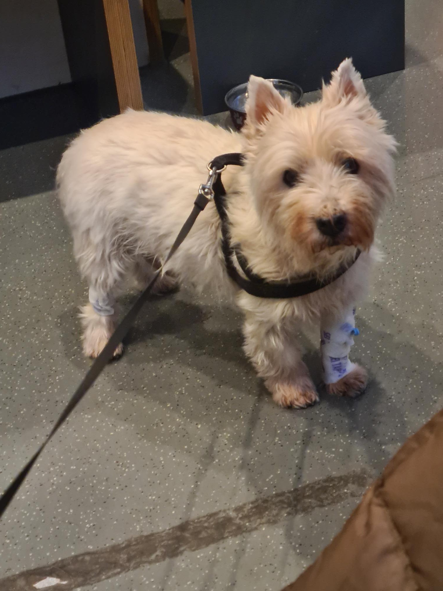 Kleintierspezialisten