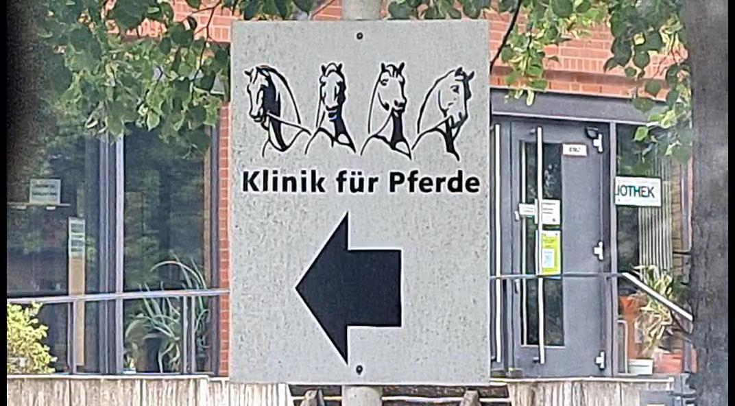 Klinik für Pferde, allgemeine Chirurgie und Radiologie (WE17) in Berlin – Praxisfoto 1