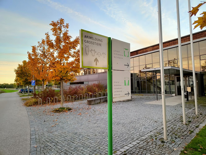 Klinik für Pferde, LMU München