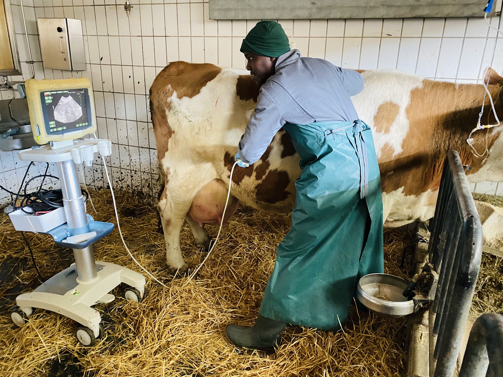 Klinik für Wiederkäuer, LMU München – Bild