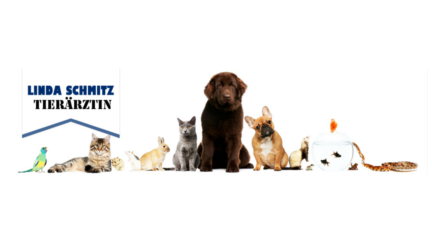 Linda Schmitz Tierärztin in Hürth – Praxisfoto 1