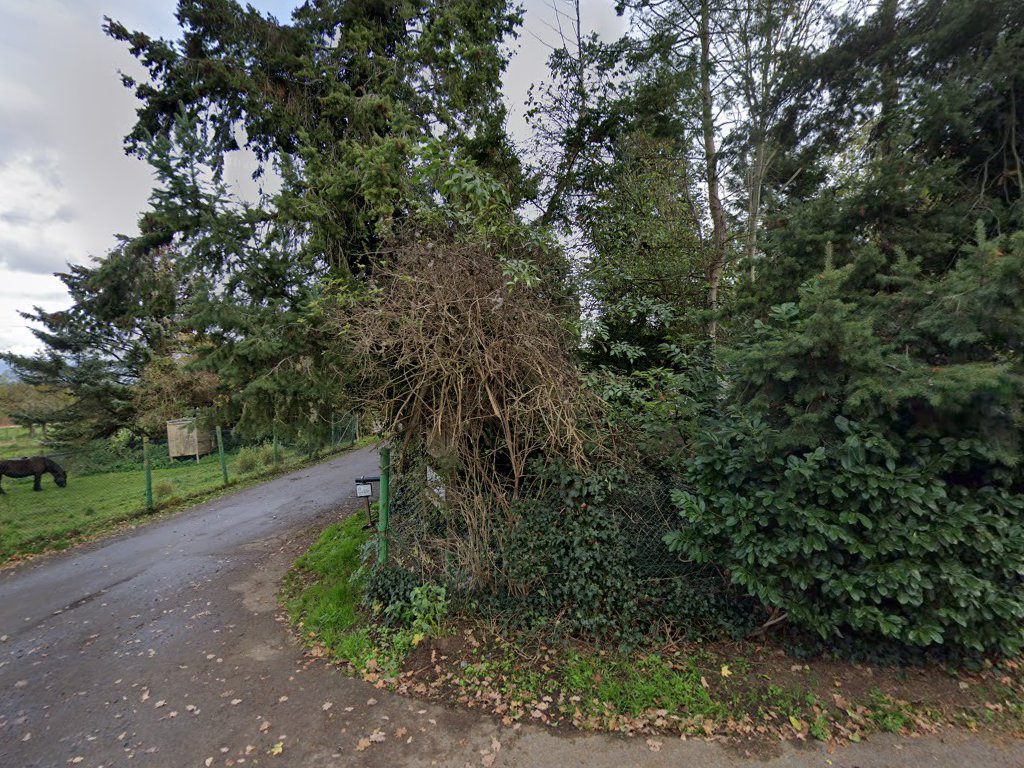 Linda Schmitz Tierärztin in Hürth – Praxisfoto 2