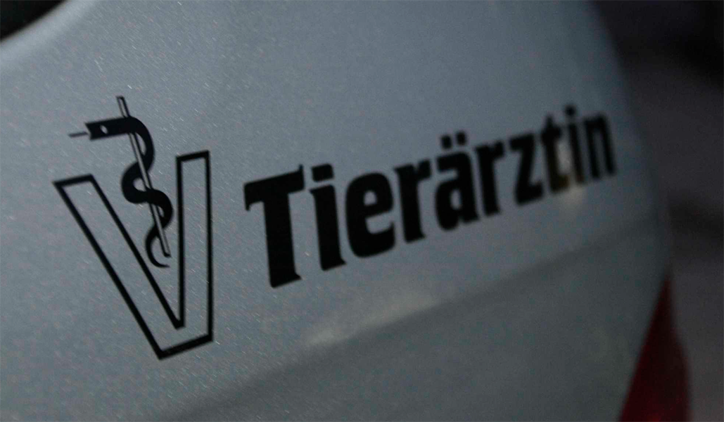 Maria Leierseder-Bauer Tierärztin – Bild