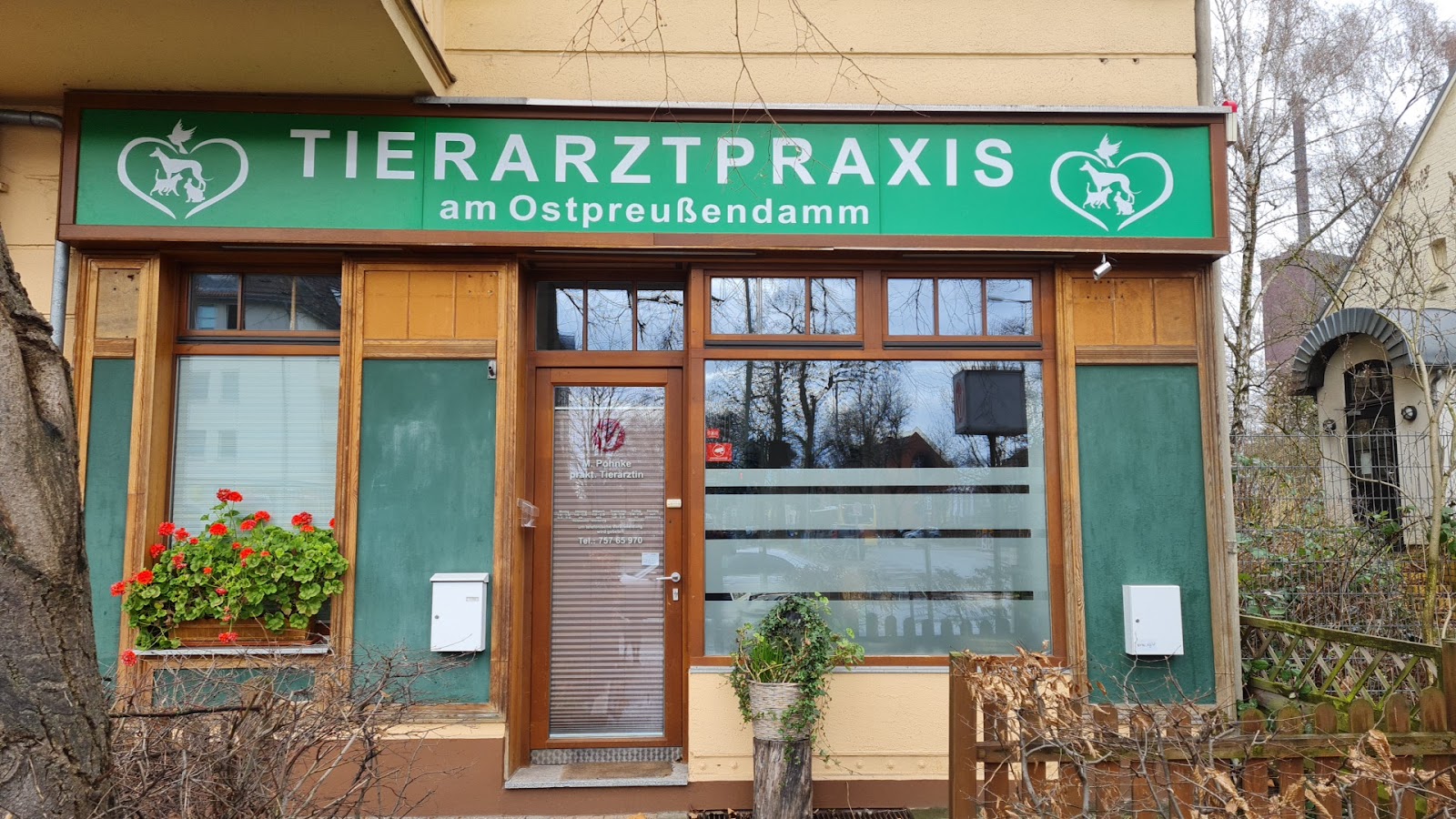 Martyna Pohnke Tierarzt in Berlin – Praxisansicht