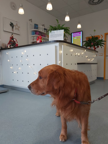 Medivet Tierarztpraxis Nürnberg