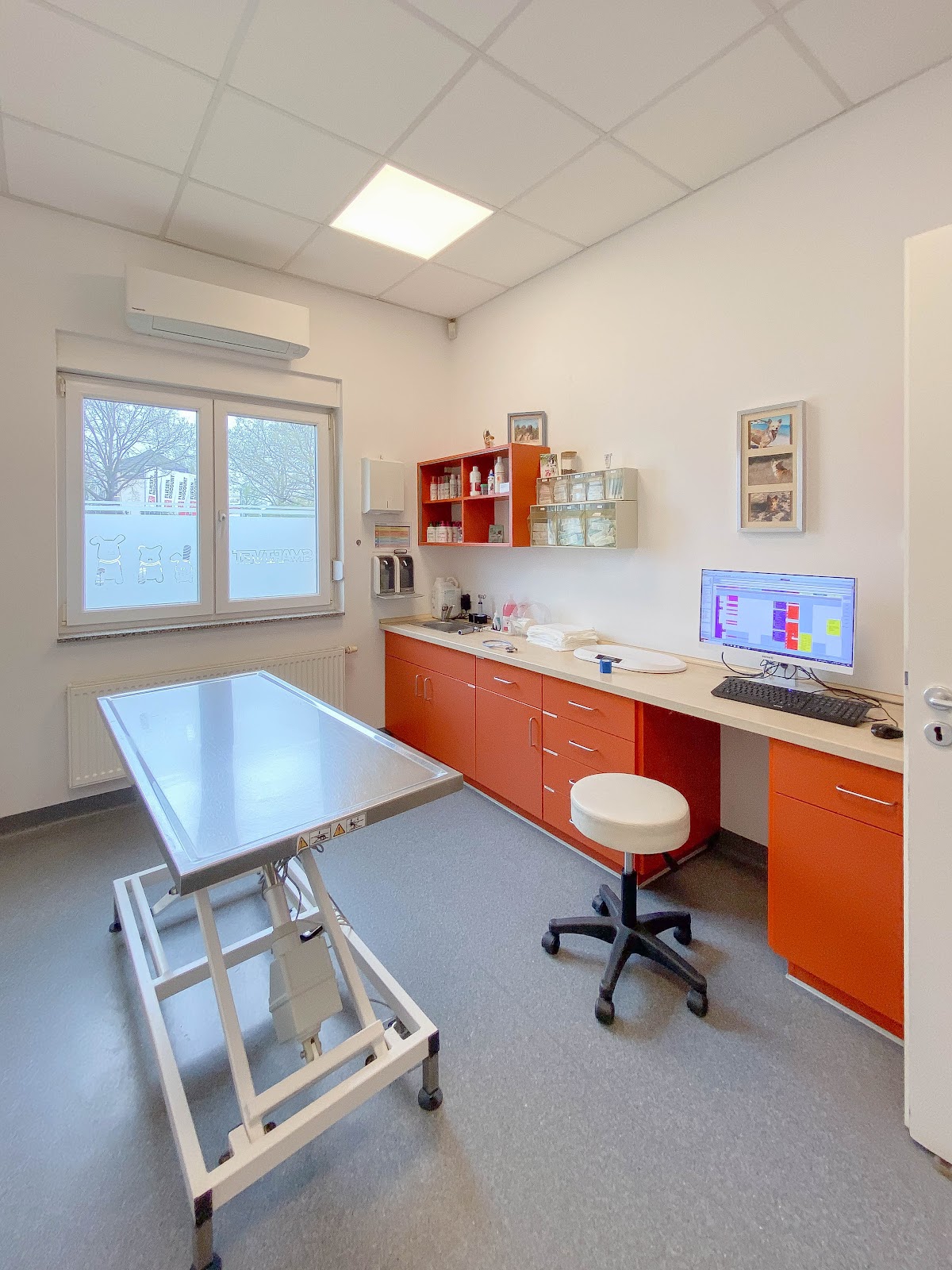 Medivet Tierarztpraxis in Berlin – Praxisfoto 4