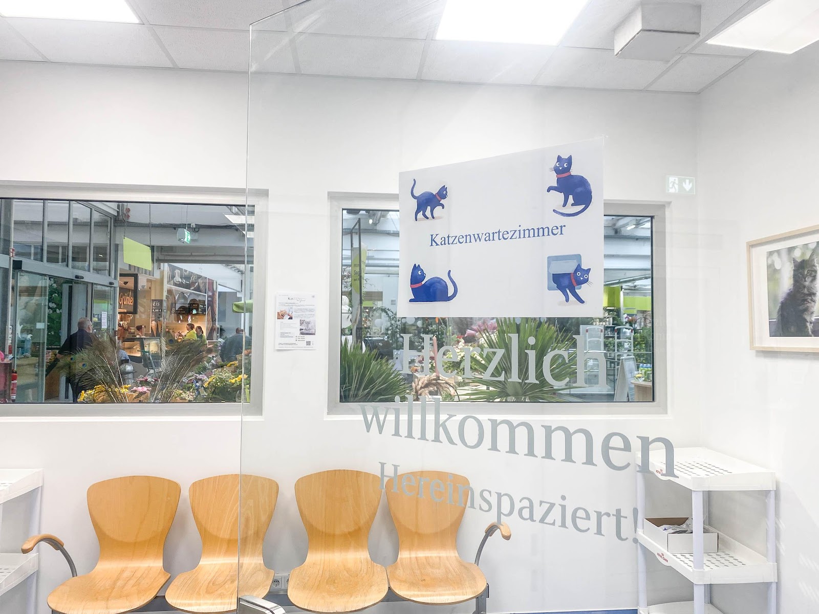 Medivet Tierarztpraxis Teltow in Teltow – Praxisfoto 1