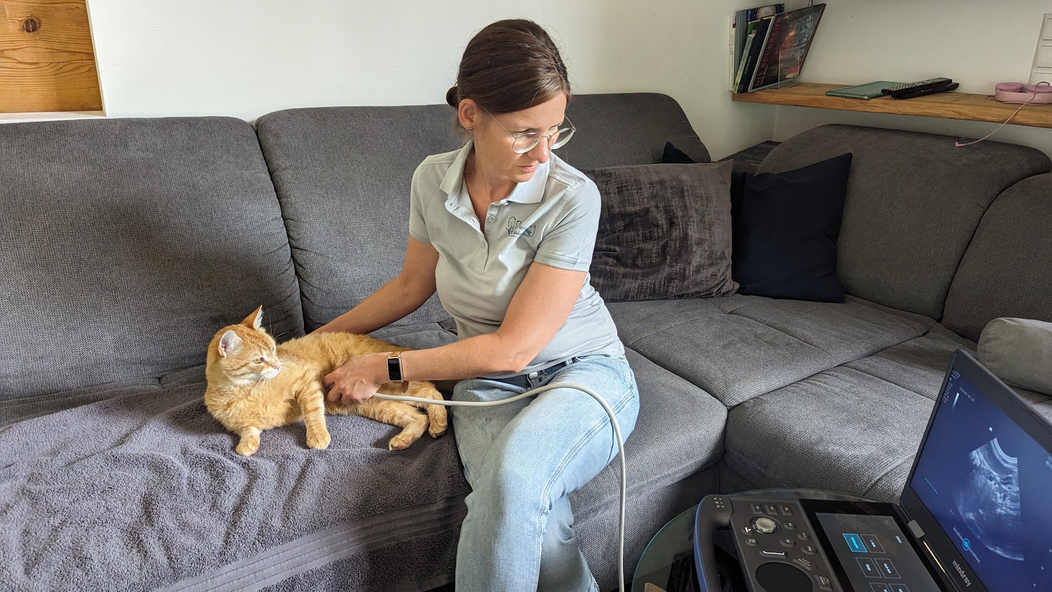 Mobile Tierärztin Ramona Weber-König – Bild