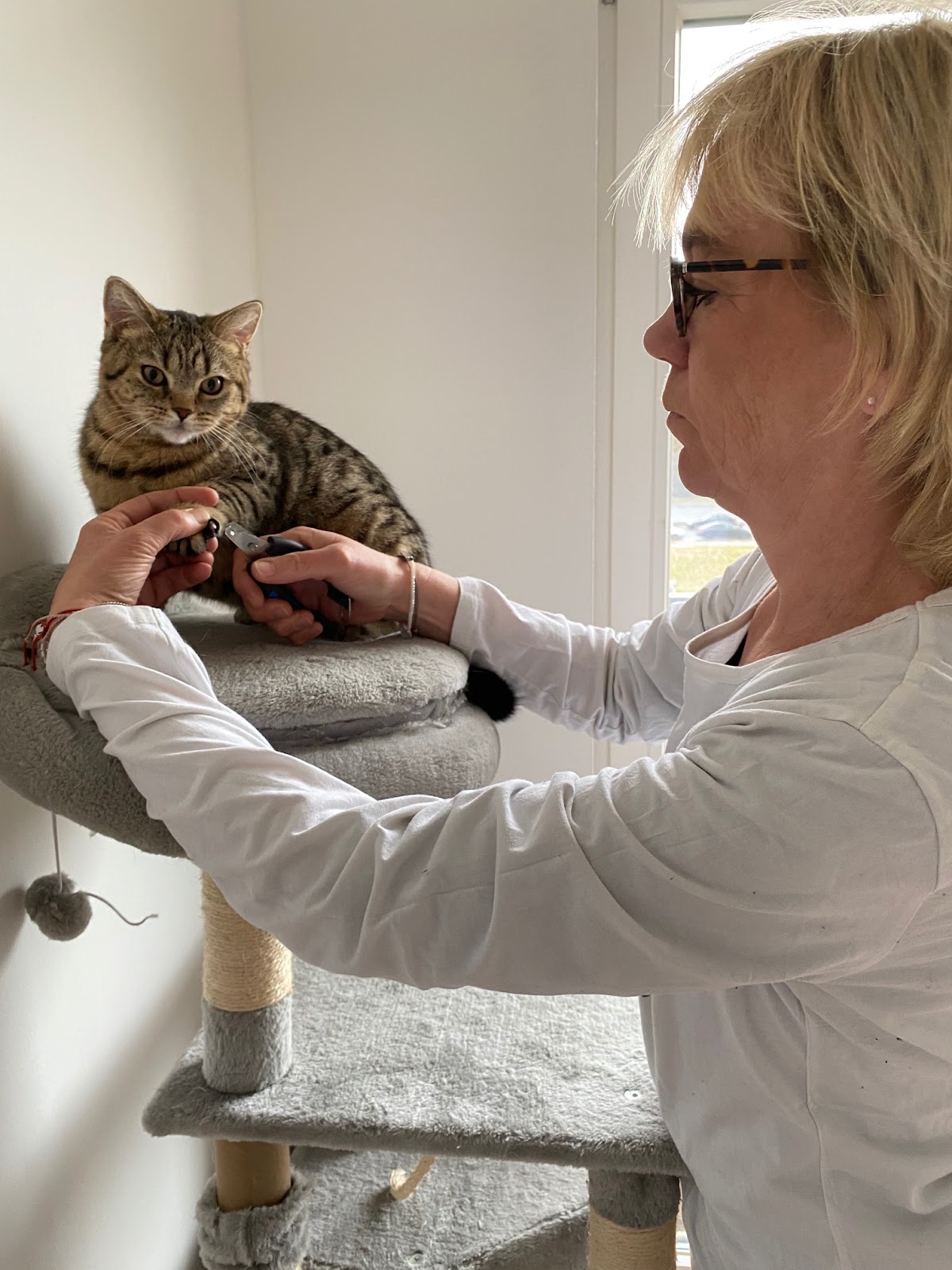 Mobile Tierarztpraxis Brit von Plettenberg in Berlin – Praxisfoto 3