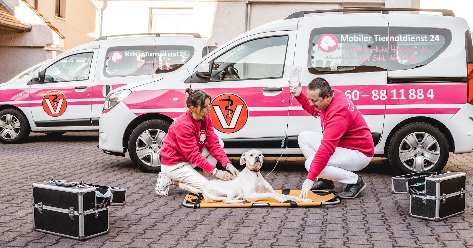Mobiler Tiernotdienst 24 in Porz – Praxisansicht