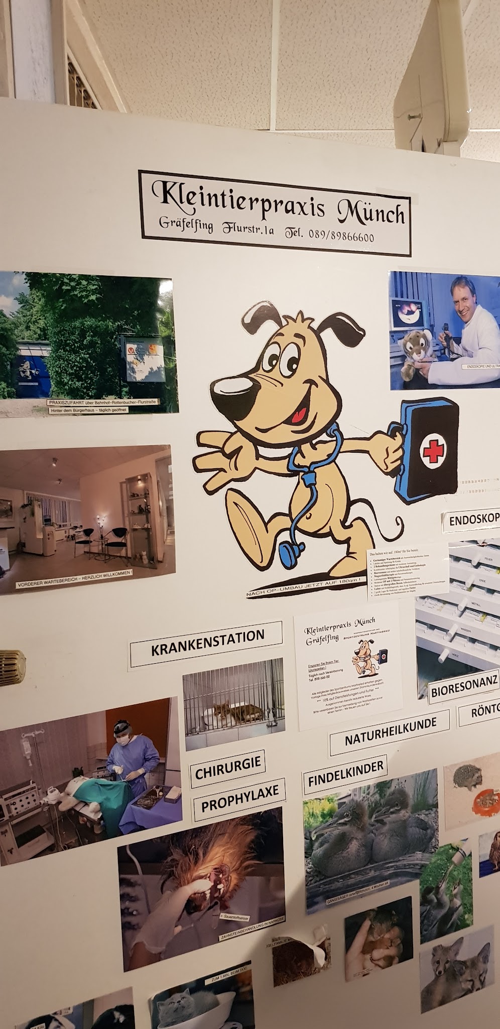 Münch Michael – Bild