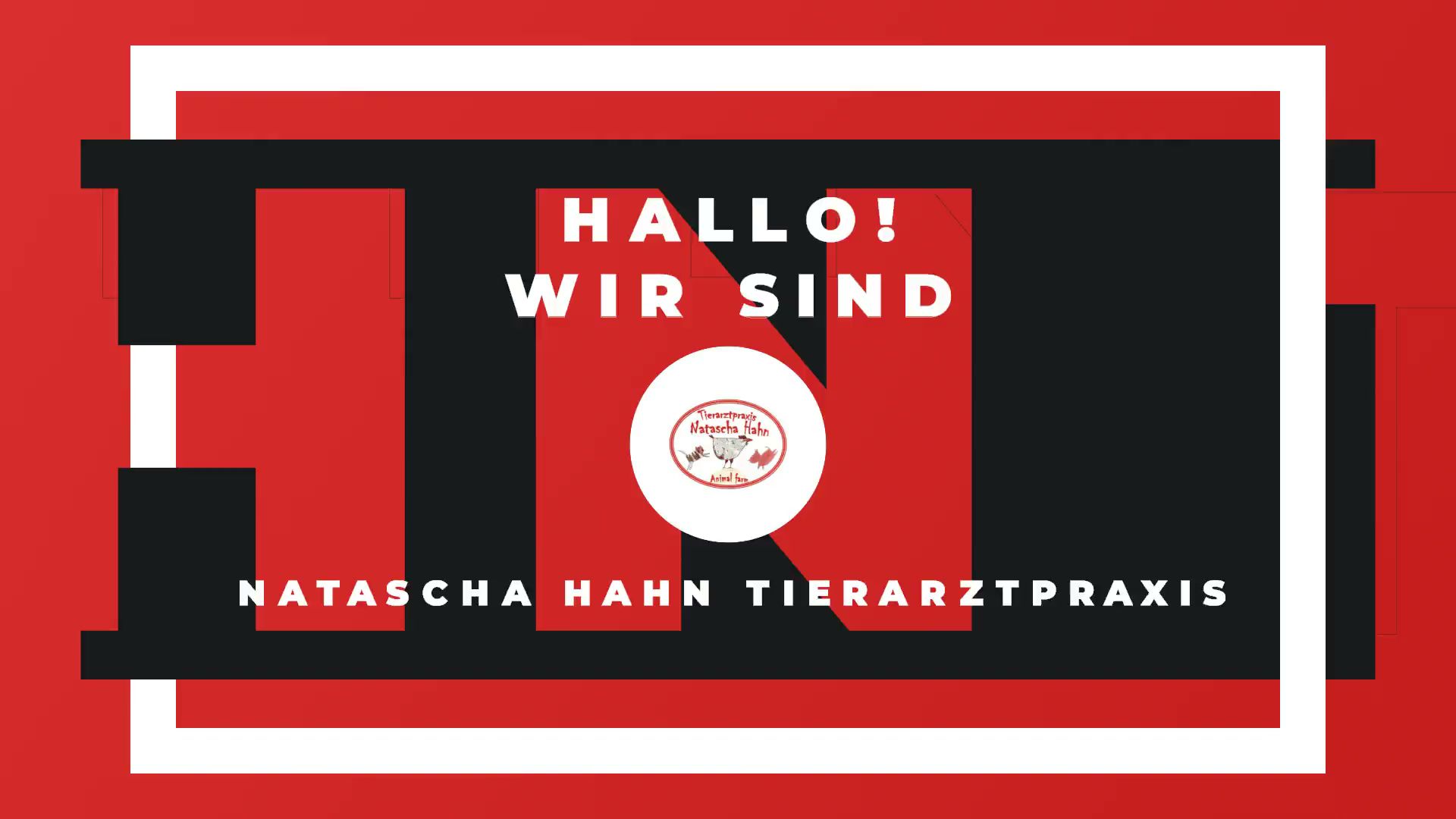 Natascha Hahn Tierarztpraxis – Bild