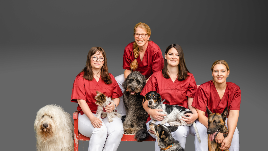 Natascha Hahn Tierarztpraxis – Bild