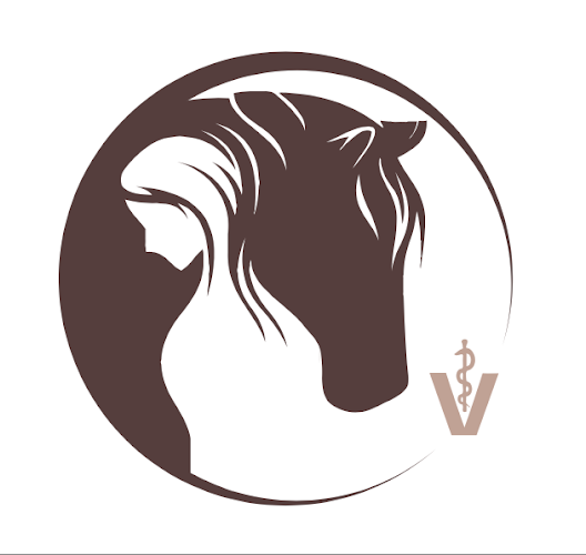 OsteoVet – Osteopathie & Tierarztpraxis für Pferd und Hund