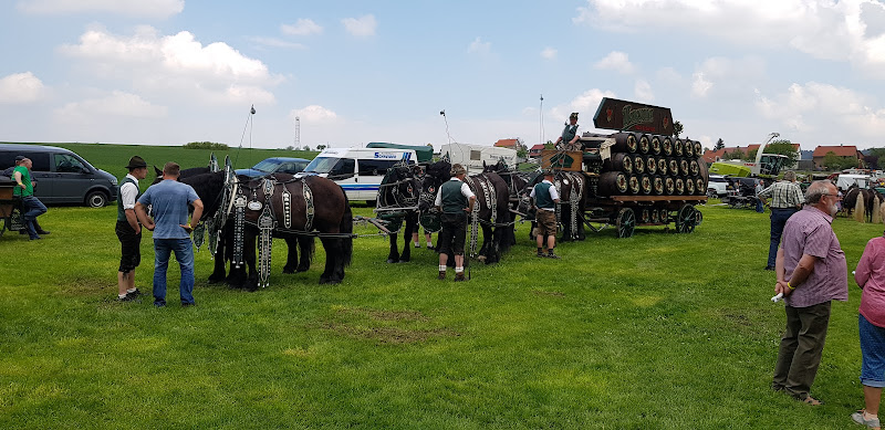 Pferde in Thüringen
