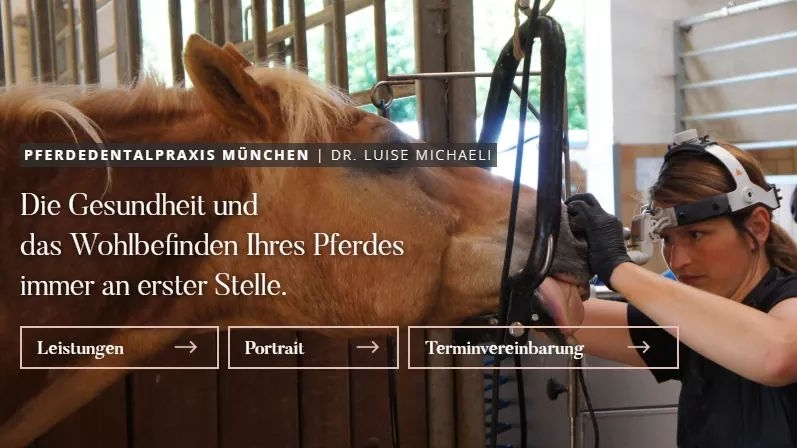 Pferdedentalpraxis München | Pferdedentalpraktiker nach IGFP, Dr. Luise Michaeli