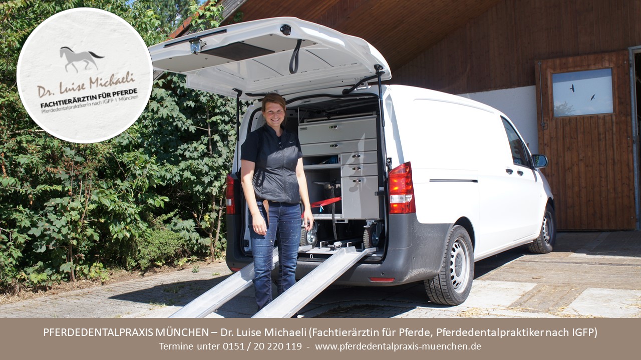 Pferdedentalpraxis München | Pferdedentalpraktiker nach IGFP, Dr. Luise Michaeli – Bild
