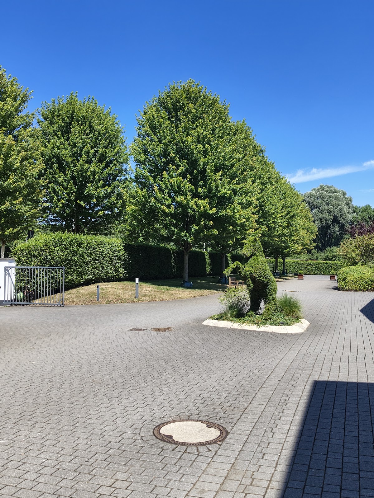 Pferdeklinik Leichlingen GmbH in Leichlingen (Rheinland) – Praxisfoto 1