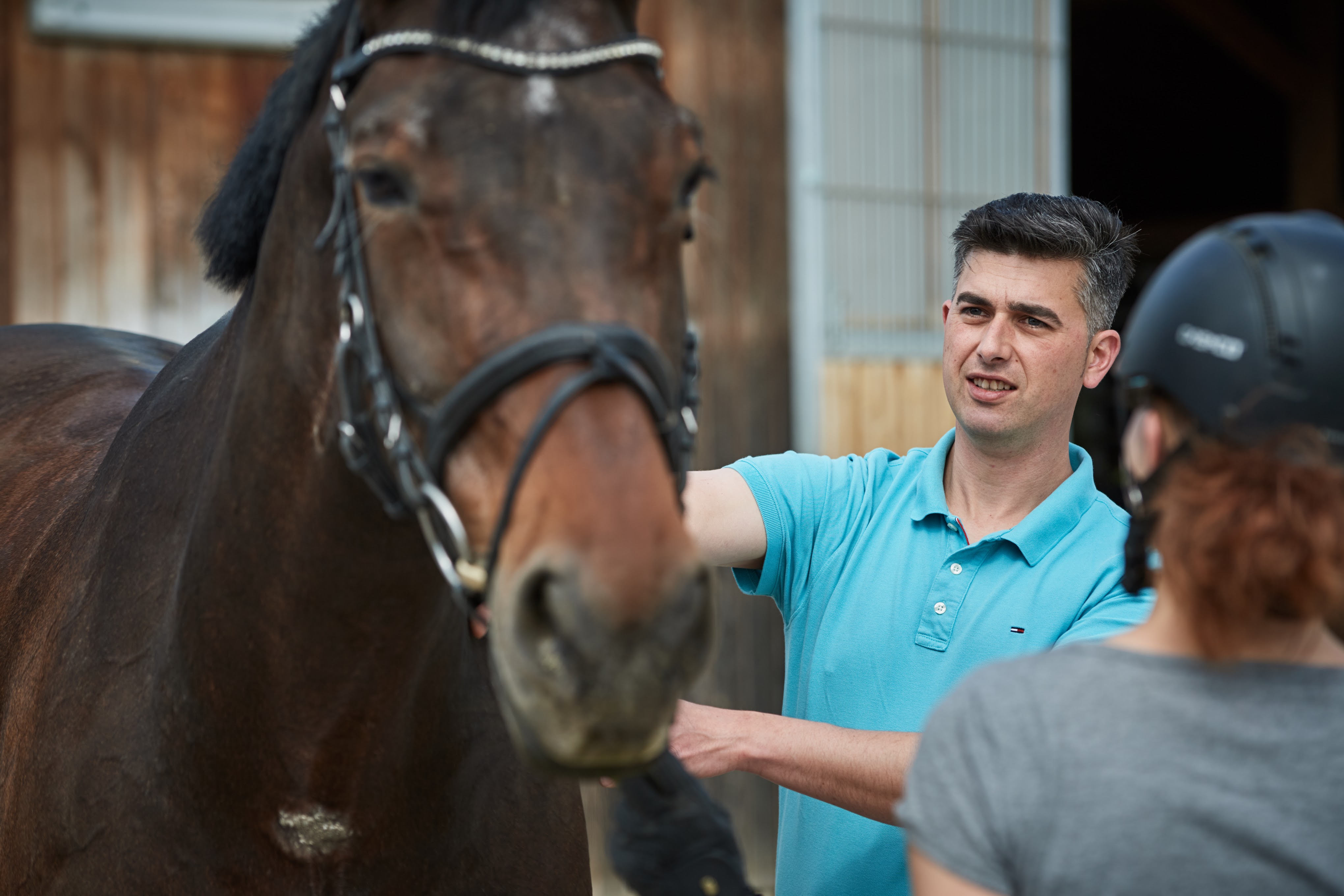 Pferdepraxis Hoffmann Tierärztliche Praxis für Pferde Dr. Tobias Hoffmann