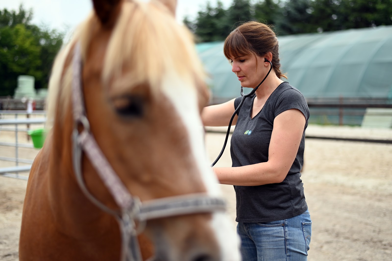 Praxis Fröhliche Tiere in Erftstadt – Praxisfoto 1