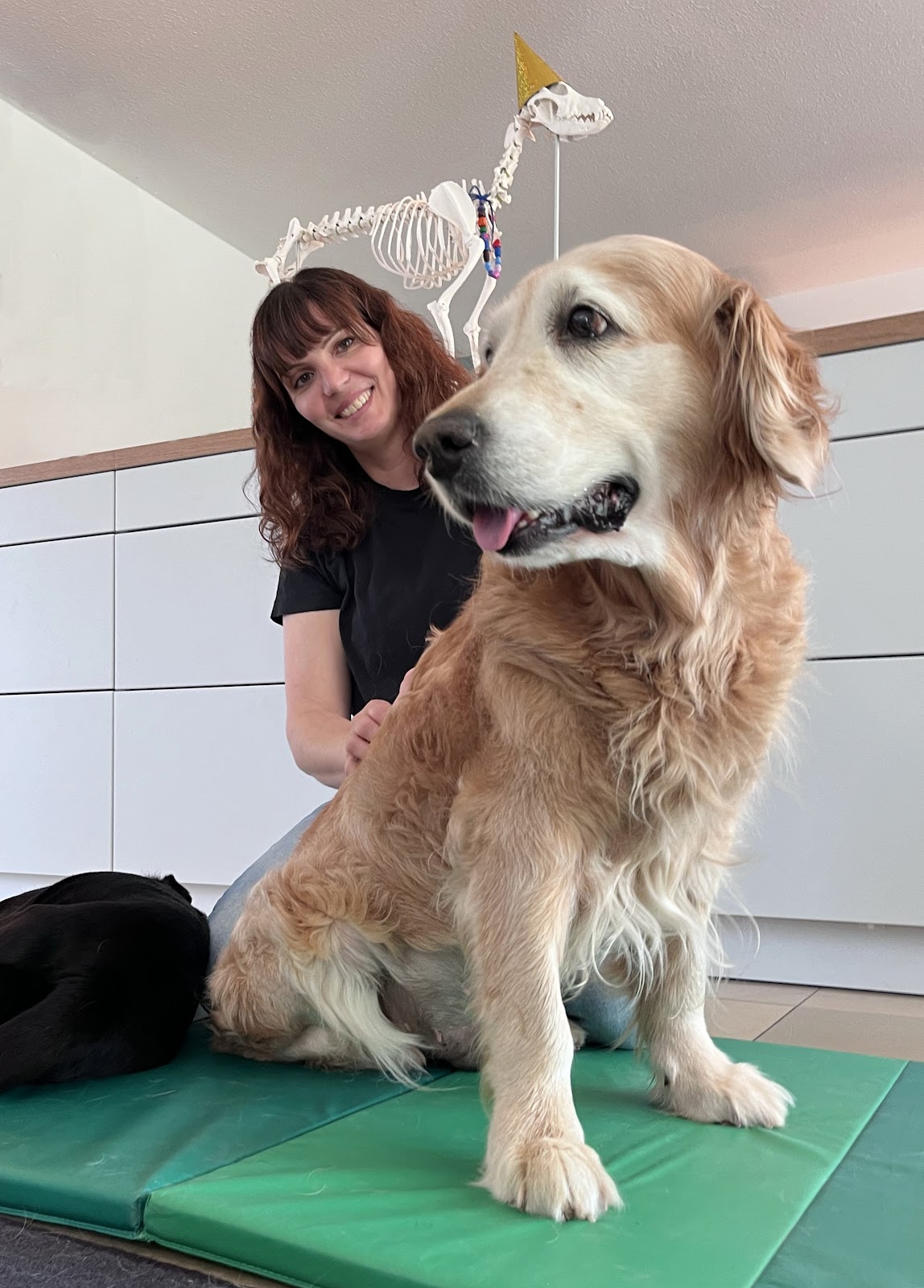 Praxis Fröhliche Tiere in Erftstadt – Praxisansicht